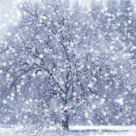 Meet your Posher, Linda - Picture 1 of 1